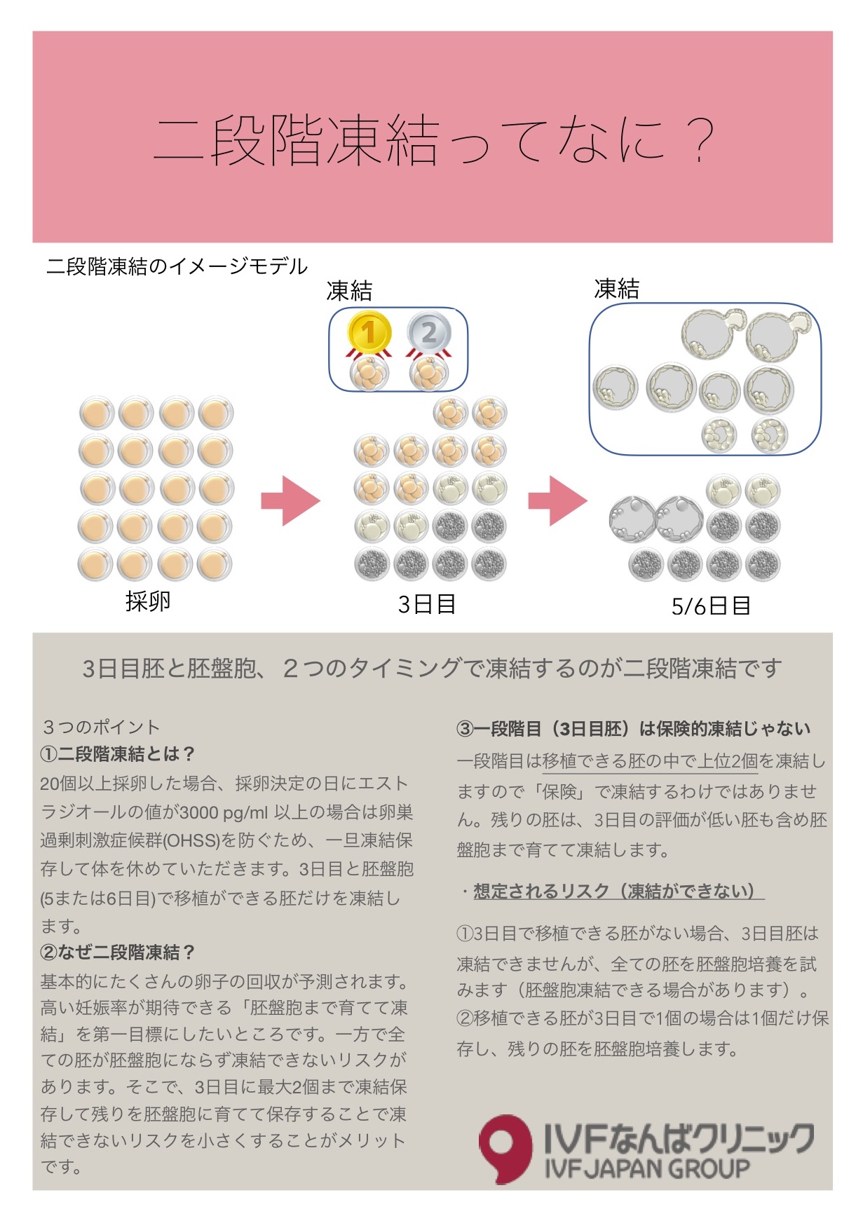 予定日 胚盤胞 ６日目胚盤胞 ３ＣＣ